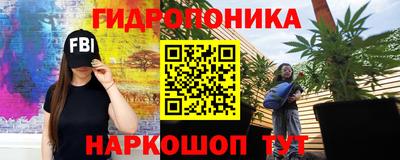 стаф Лесосибирск