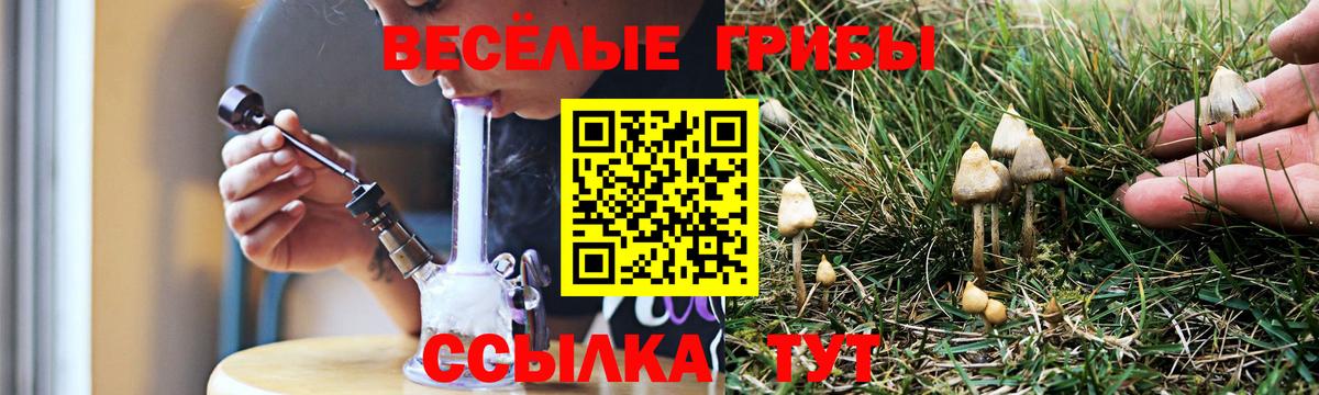 Юрга  Псилоцибиновые грибы ЛСД  Галлюциногенные грибы Cubensis  Вход с VPN 